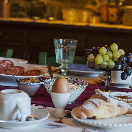 Fattoria Santo Stefano Farm stay Greve in Chianti