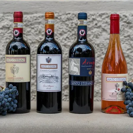 Fattoria Santo Stefano Greve in Chianti