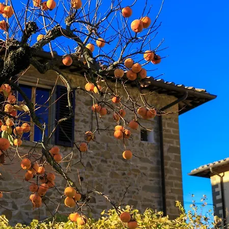 Fattoria Santo Stefano Vakantieboerderij *