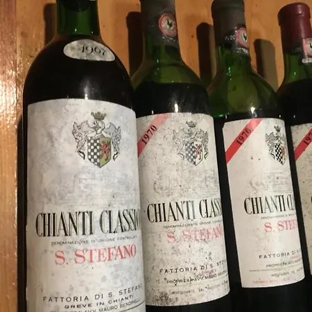 Fattoria Santo Stefano Vakantieboerderij Greve in Chianti