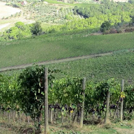 Fattoria Santo Stefano Vakantieboerderij *