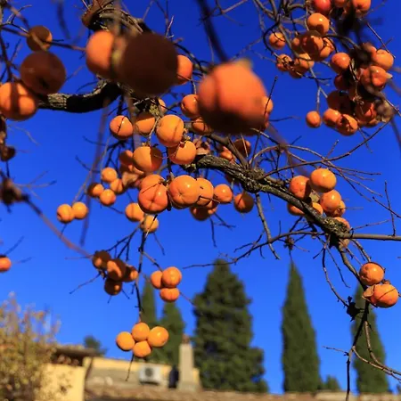 Fattoria Santo Stefano Vakantieboerderij *